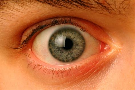 eye .